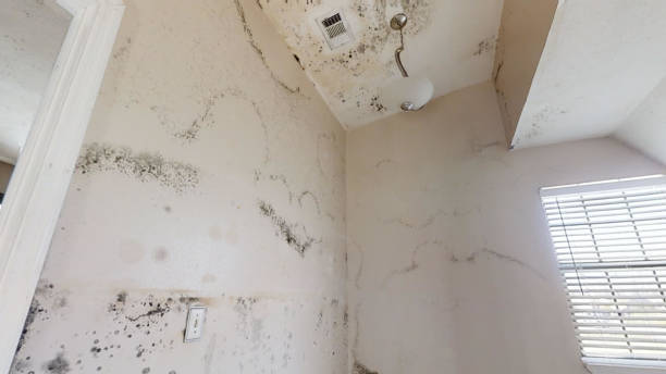 Best Post-Remediation Verification Testing  in Porterdale, GA