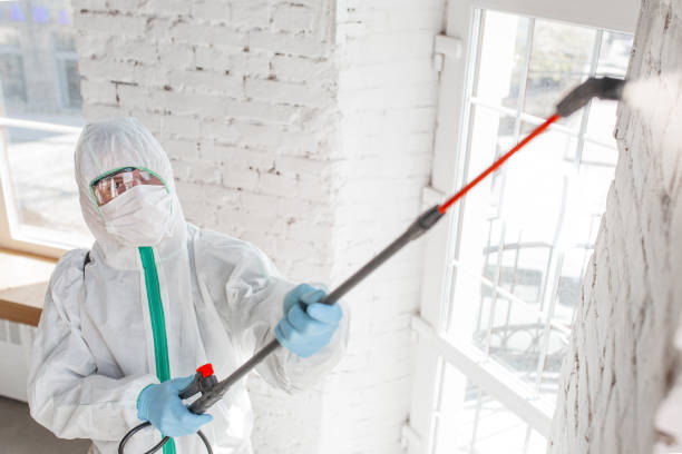 Best Indoor Air Quality Assessment  in Porterdale, GA