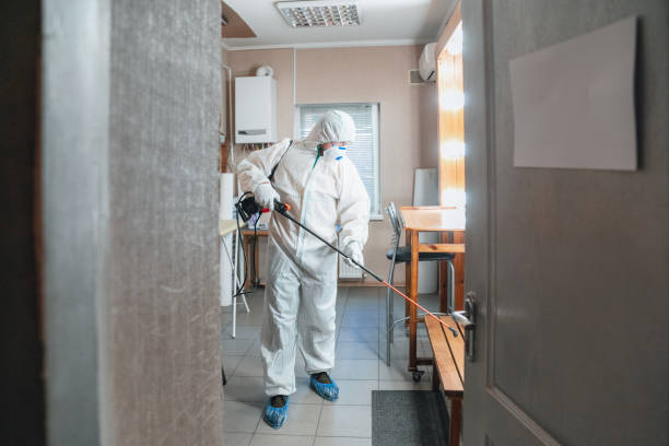 Best Crawl Space Mold Remediation  in Porterdale, GA