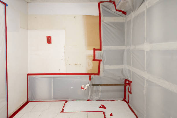 Best Mold Damage Restoration  in Porterdale, GA