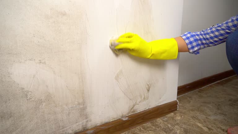 Best Comprehensive Air Testing for Mold Contaminants  in Porterdale, GA