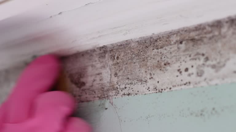 Best Mold Odor Removal Services  in Porterdale, GA